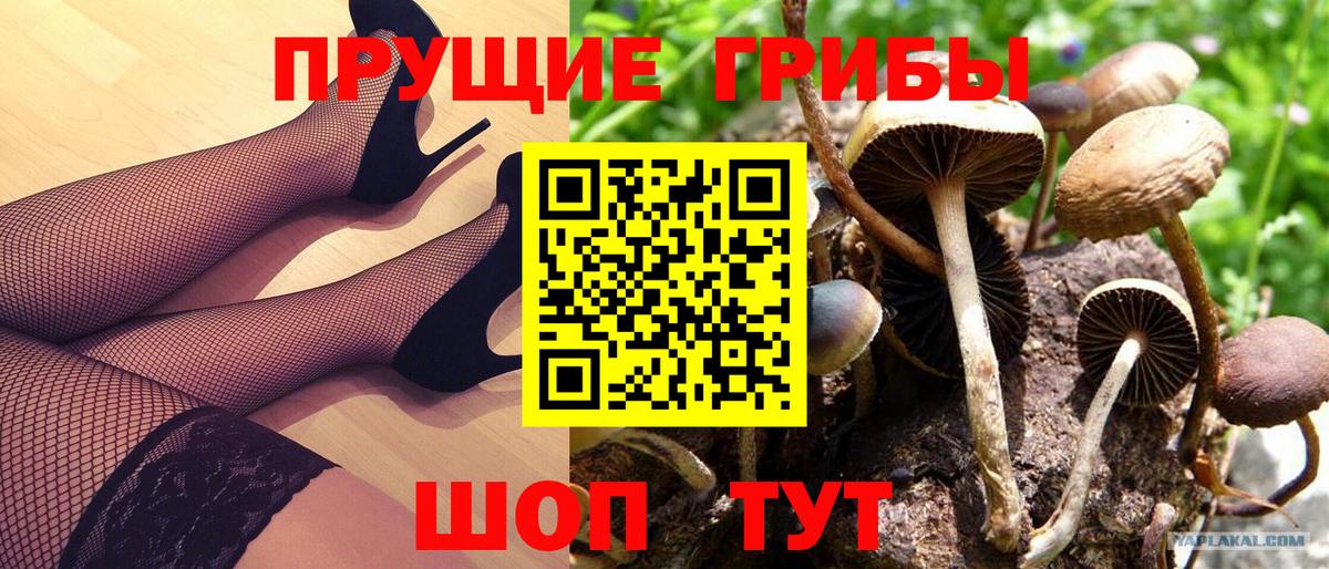 Котлас  цены наркотик  Вход с VPN  Галлюциногенные грибы мухоморы 