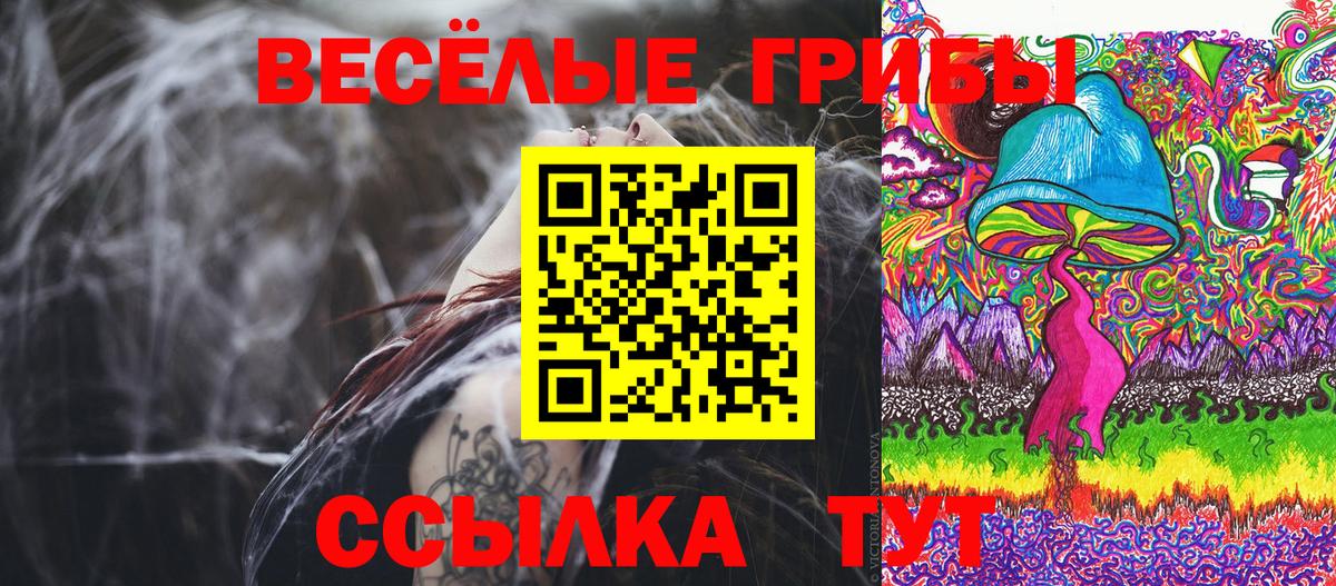 Псилоцибиновые грибы прущие грибы Котлас